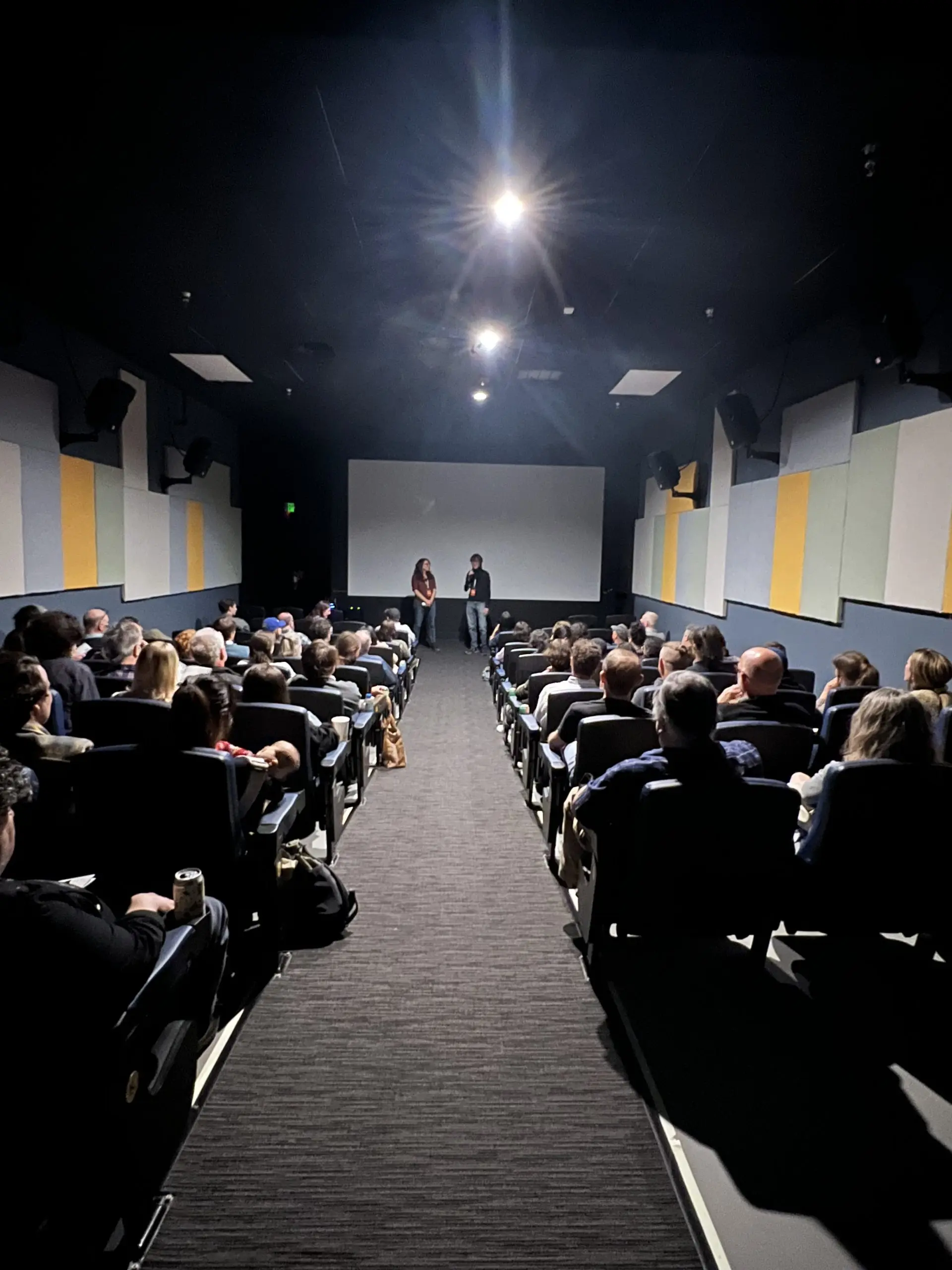 Cosmic Rays Film Festival