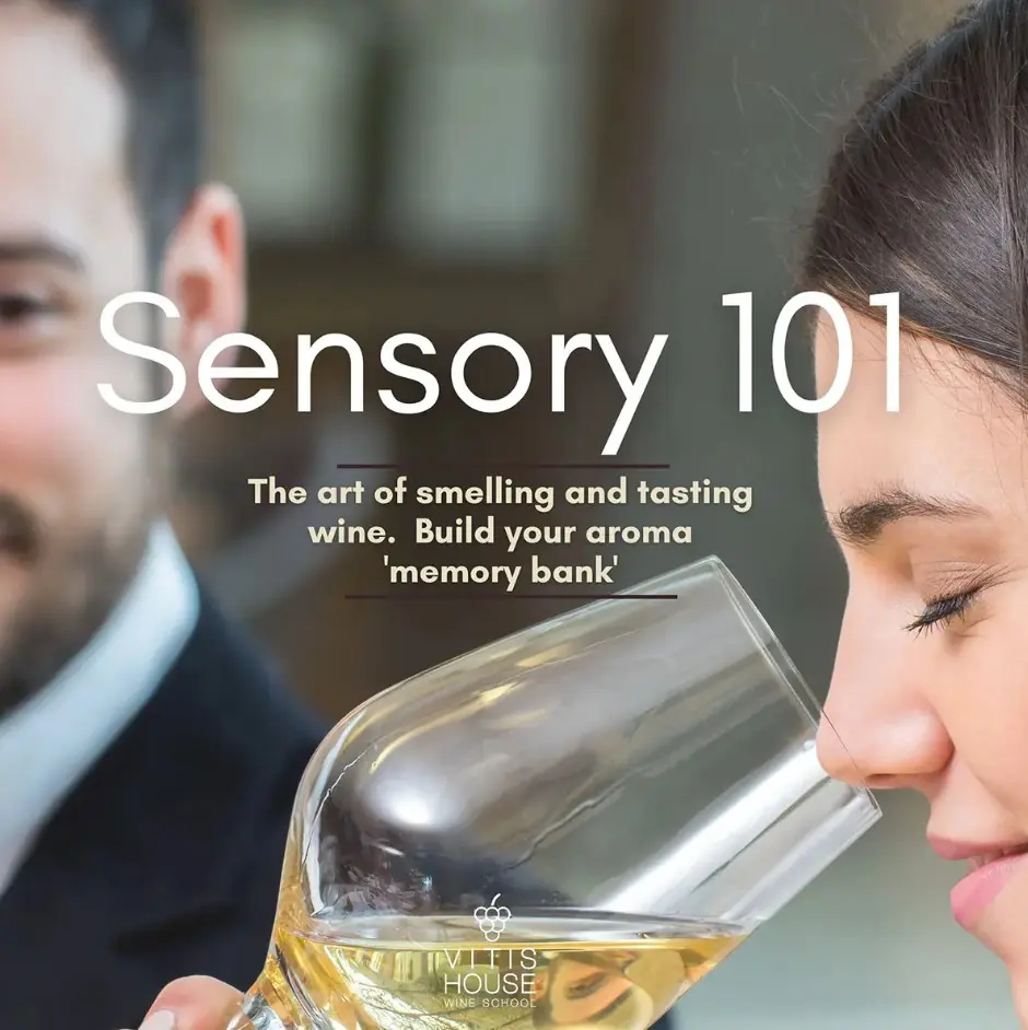 Sensory 101