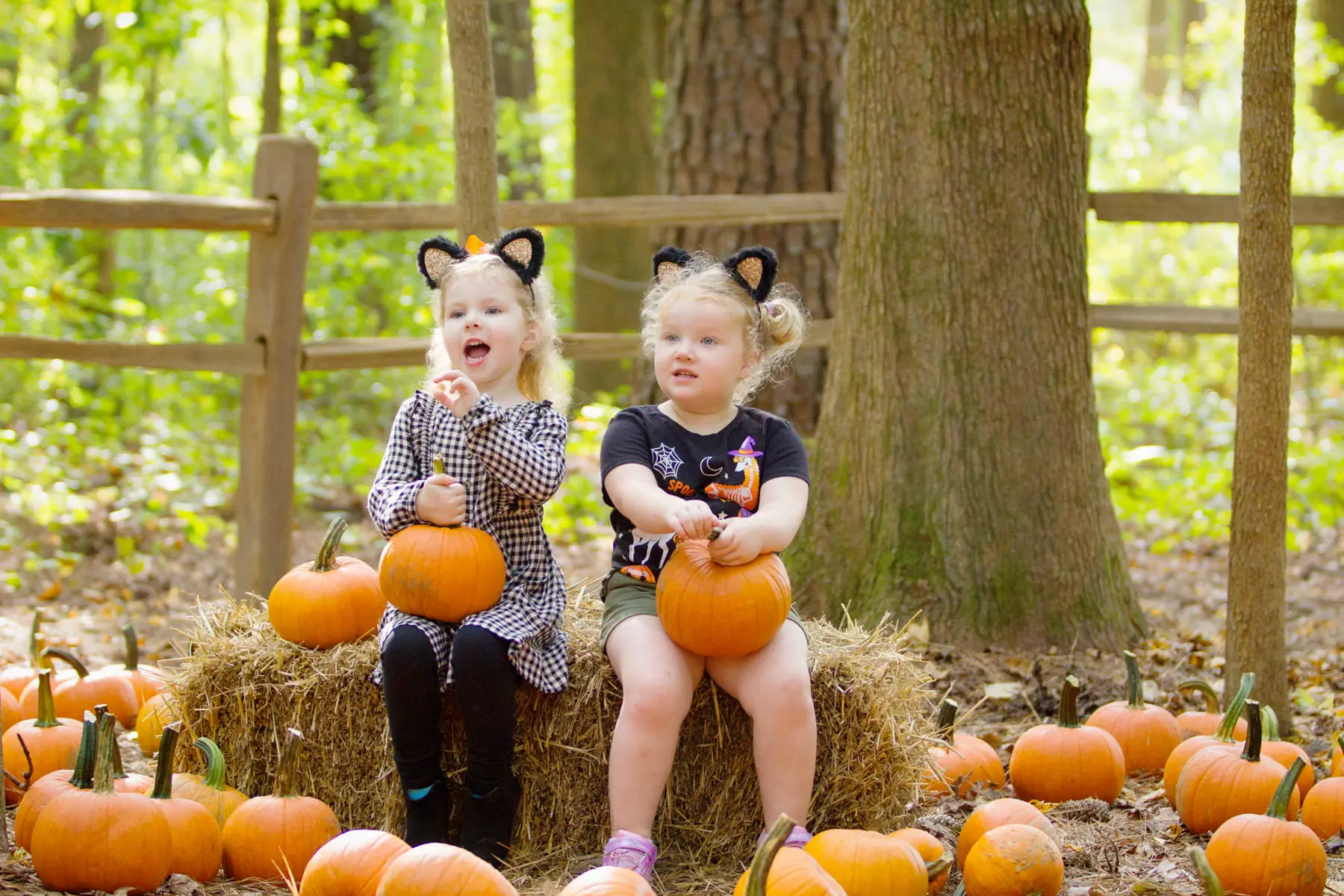 Two young girls sit on a hay bale in a pumpkin patch with pumpkins in their laps