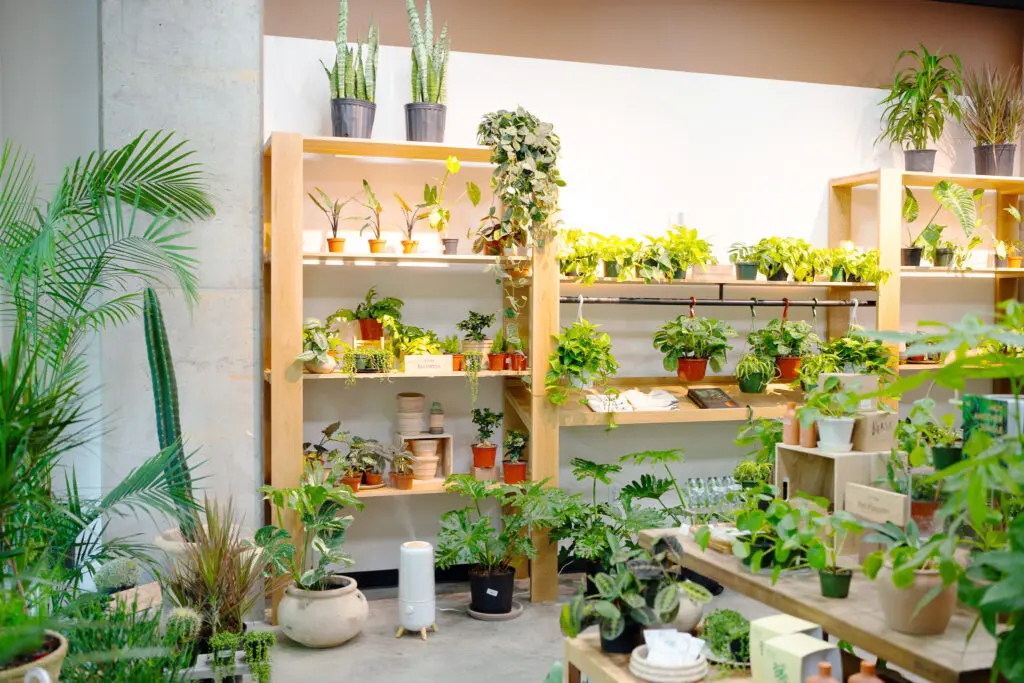 Plant shops in Raleigh