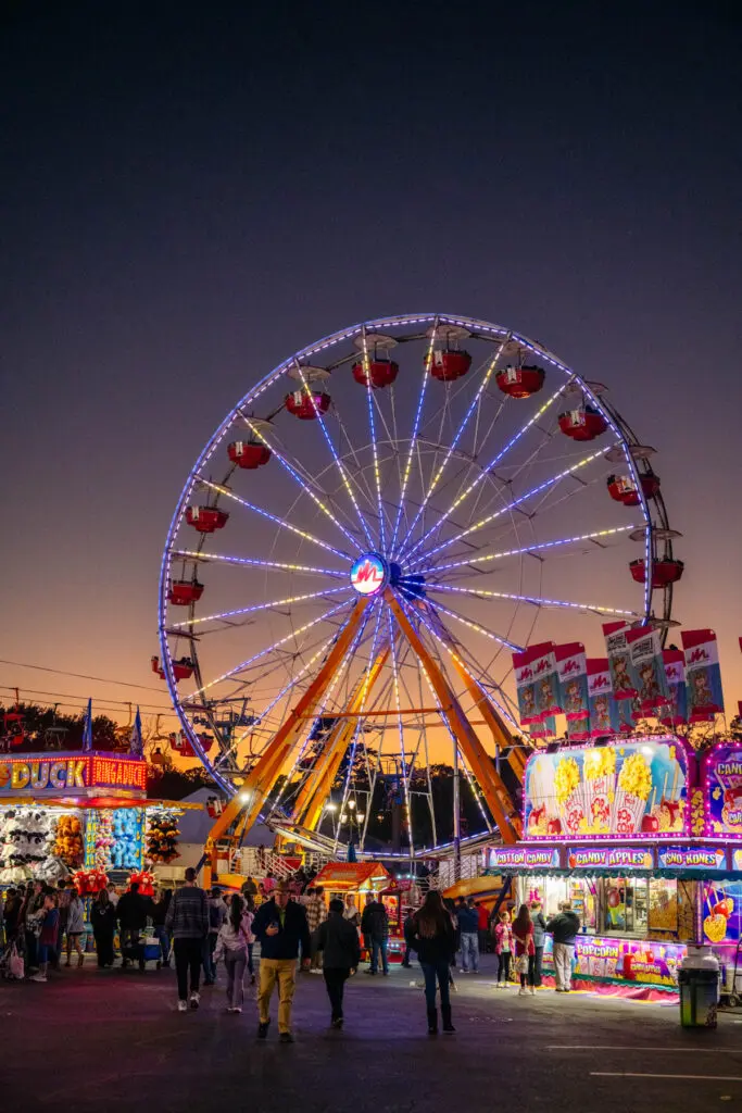 Dizzy pass package at state fair