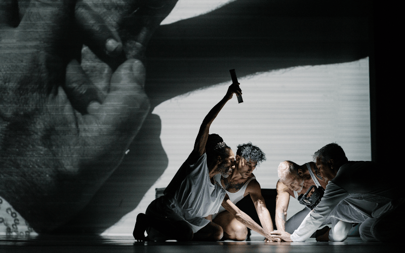 American Dance Festival presents Pioneer Winter Collective
