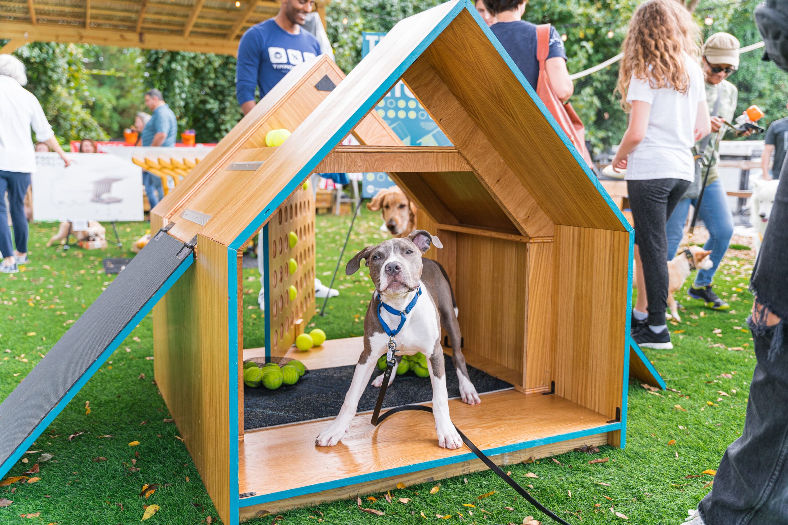 Barkitecture — Family fun in Downtown Cary Park
