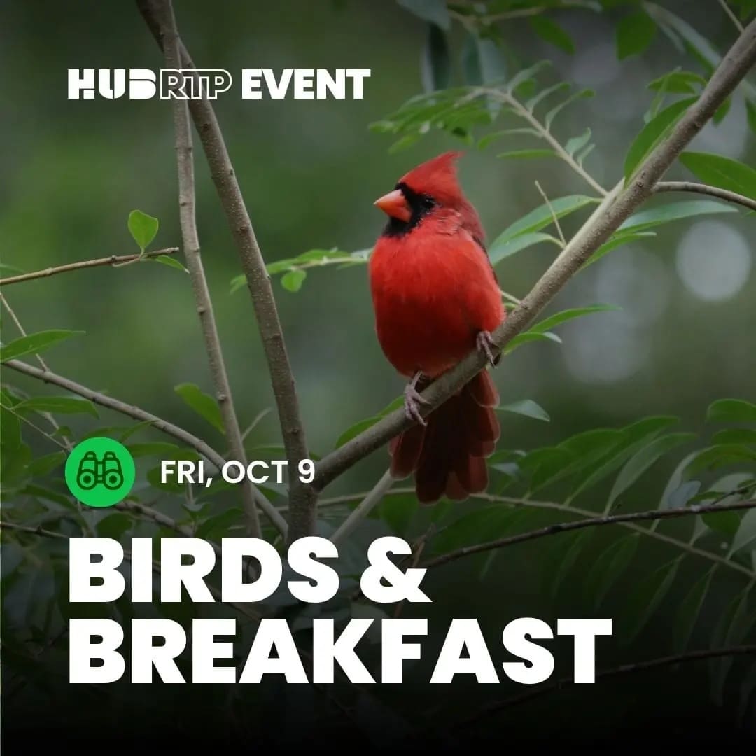 Birds & Breakfast — Outdoors & nature in Horseshoe at Hub RTP