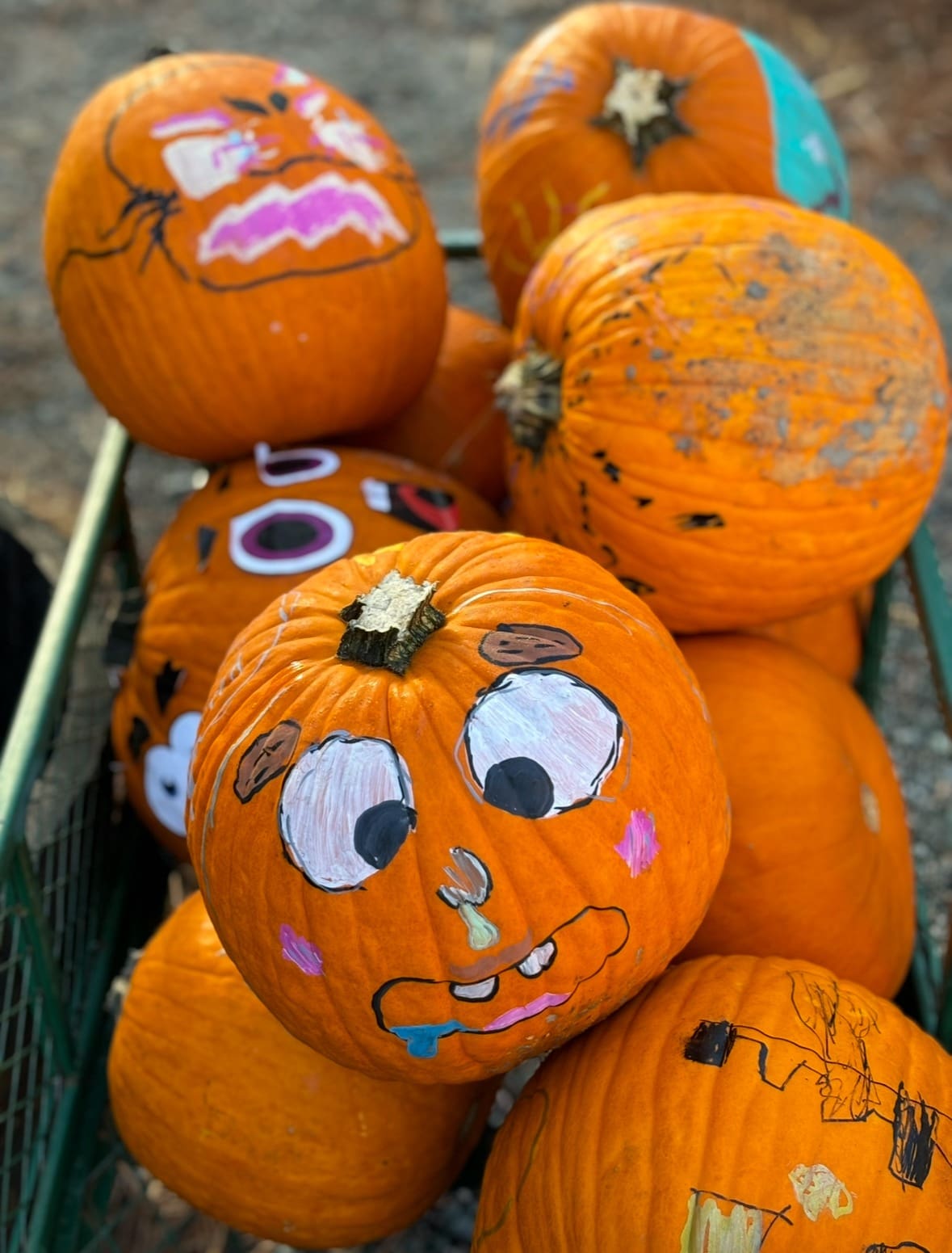 Pumpkin Painting — Arts & culture in For Garden’s Sake · Durham