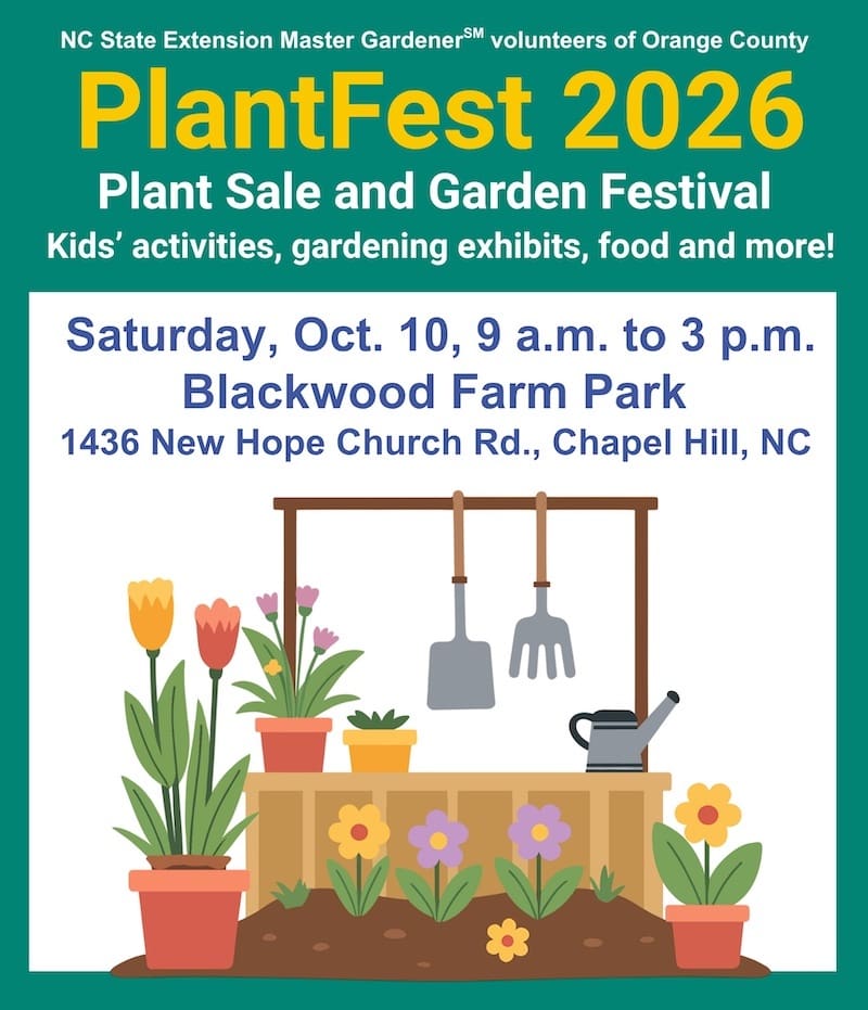 PlantFest 2026 — Family fun in Blackwood Farm Park