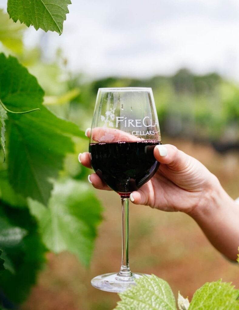 Hand holding a glass of red wine etched with the FireClay Cellars logo, framed by grapevine leaves with rows of vines blurred behind