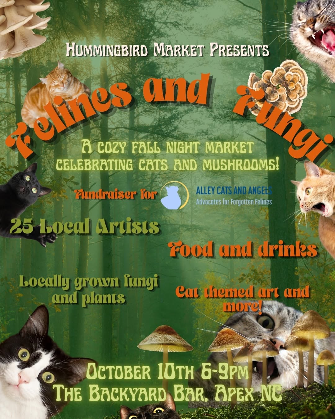 Felines and Fungi Night Market — Family fun in The Backyard Bar · Apex