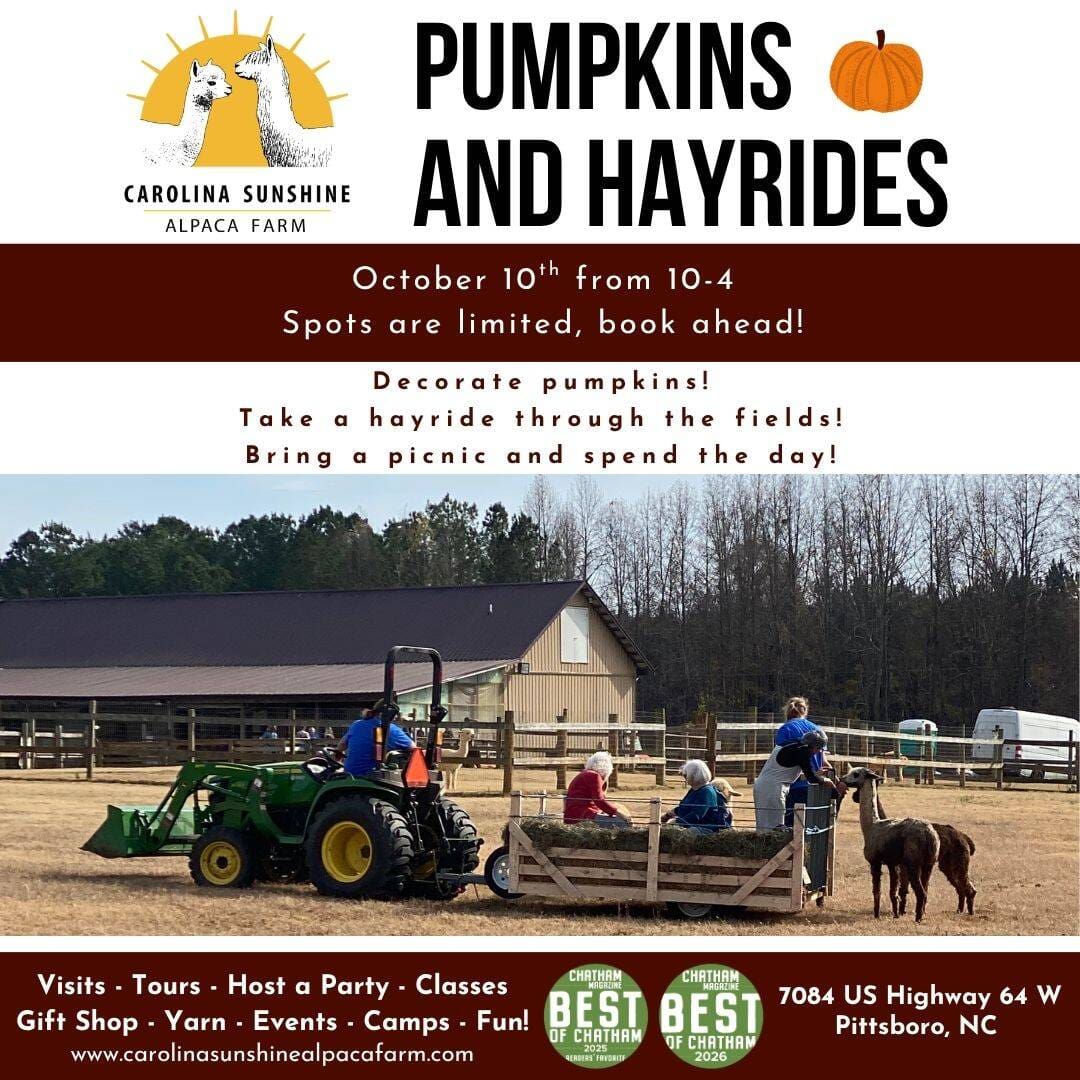 Pumpkins and Hayrides — Outdoors & nature in Carolina Sunshine Alpaca Farm